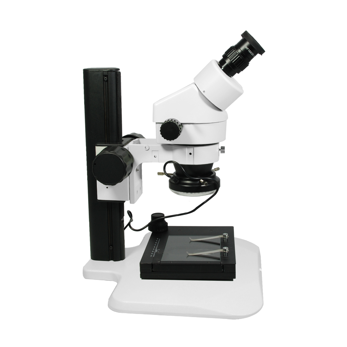 Stereo Microscope